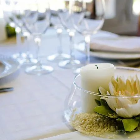 Hotel Hotel Balaguer Balaguer